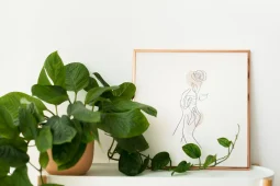 Talea pothos
